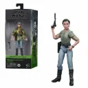 Hasbro Star Wars the Black Series Princess Leia Organa (Endor) 6-Inch Scale Star Wars: Return of the Jedi Collectible Figure