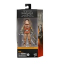 Star Wars the Black Series Kuiil 6 inch Action Figure hasbro The Mandalorian