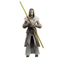 Star Wars the Black Series N°20 Jedi Temple Guard - the Clone Wars 6-Inch / 15cm Action Figure - Galactic / Chromatic assortment